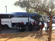  يافا: مؤسسة البيارق تسيّر ثلاث حافلات من المدينة للمسجد الأقصى المبارك